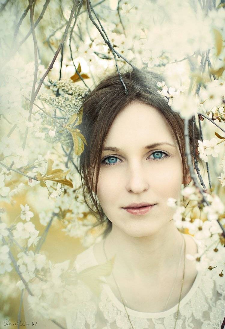 , Коровников Андрей