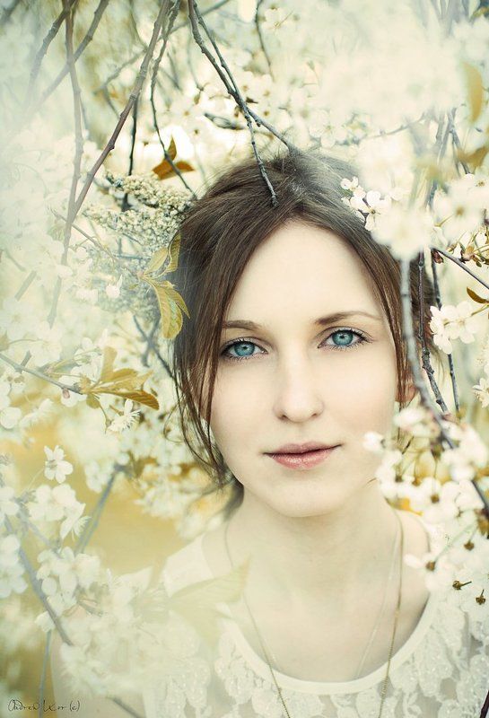 Darr фото превью