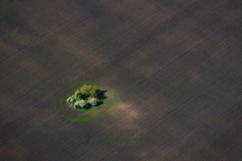 , Сидоренко Алексей