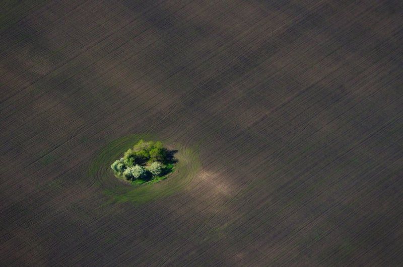 Островок фото превью