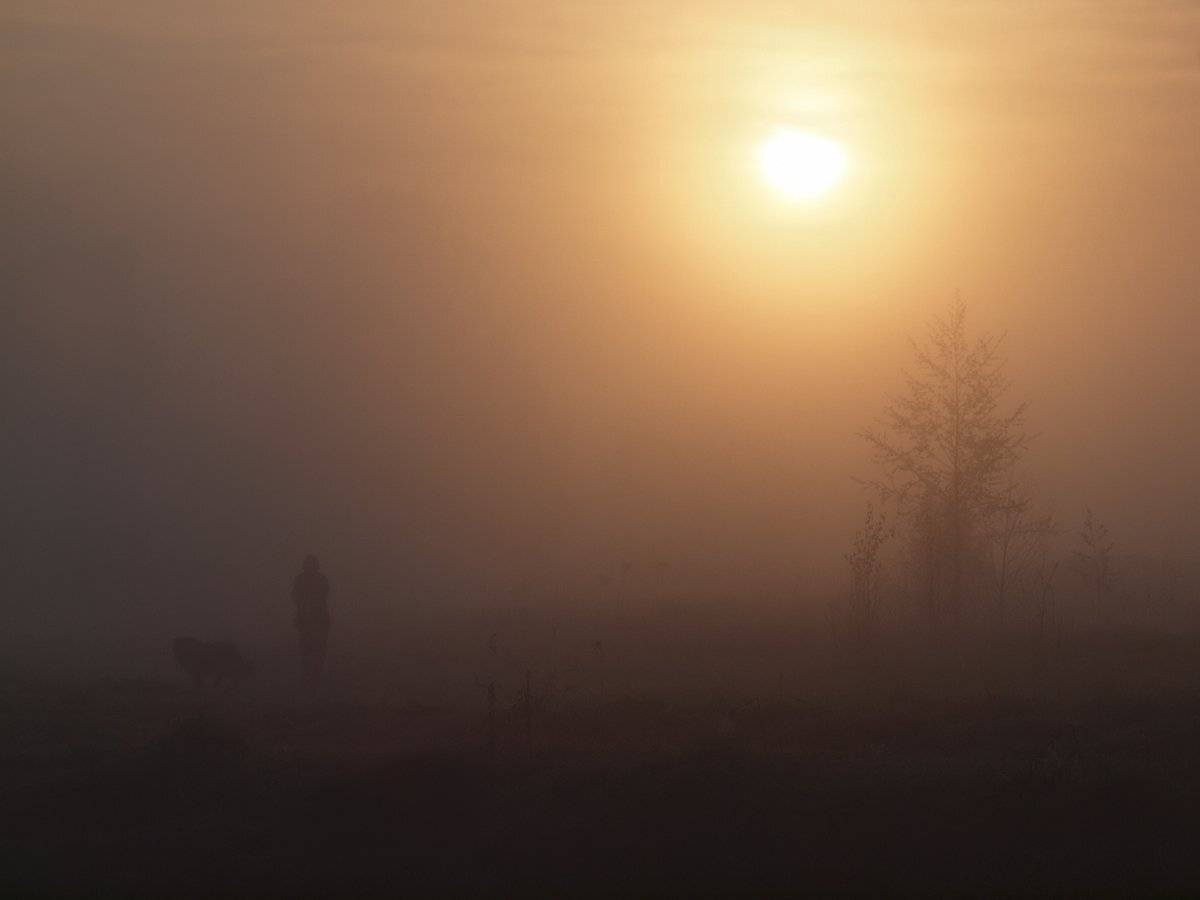 , Владимир Перепечаев