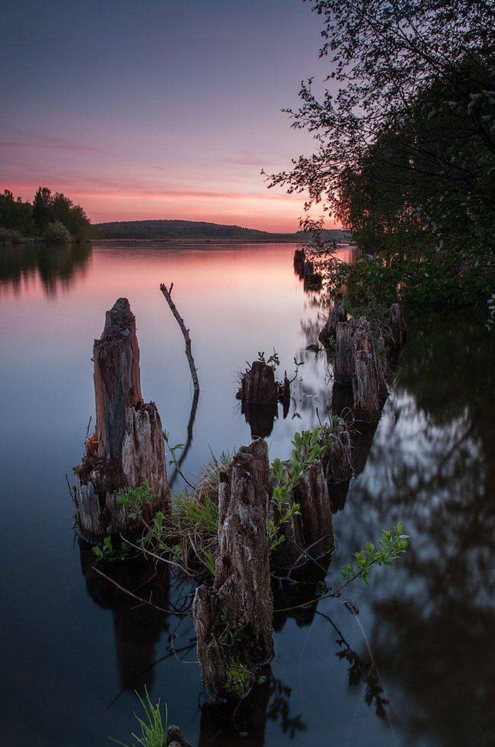 , Александр Гоголин