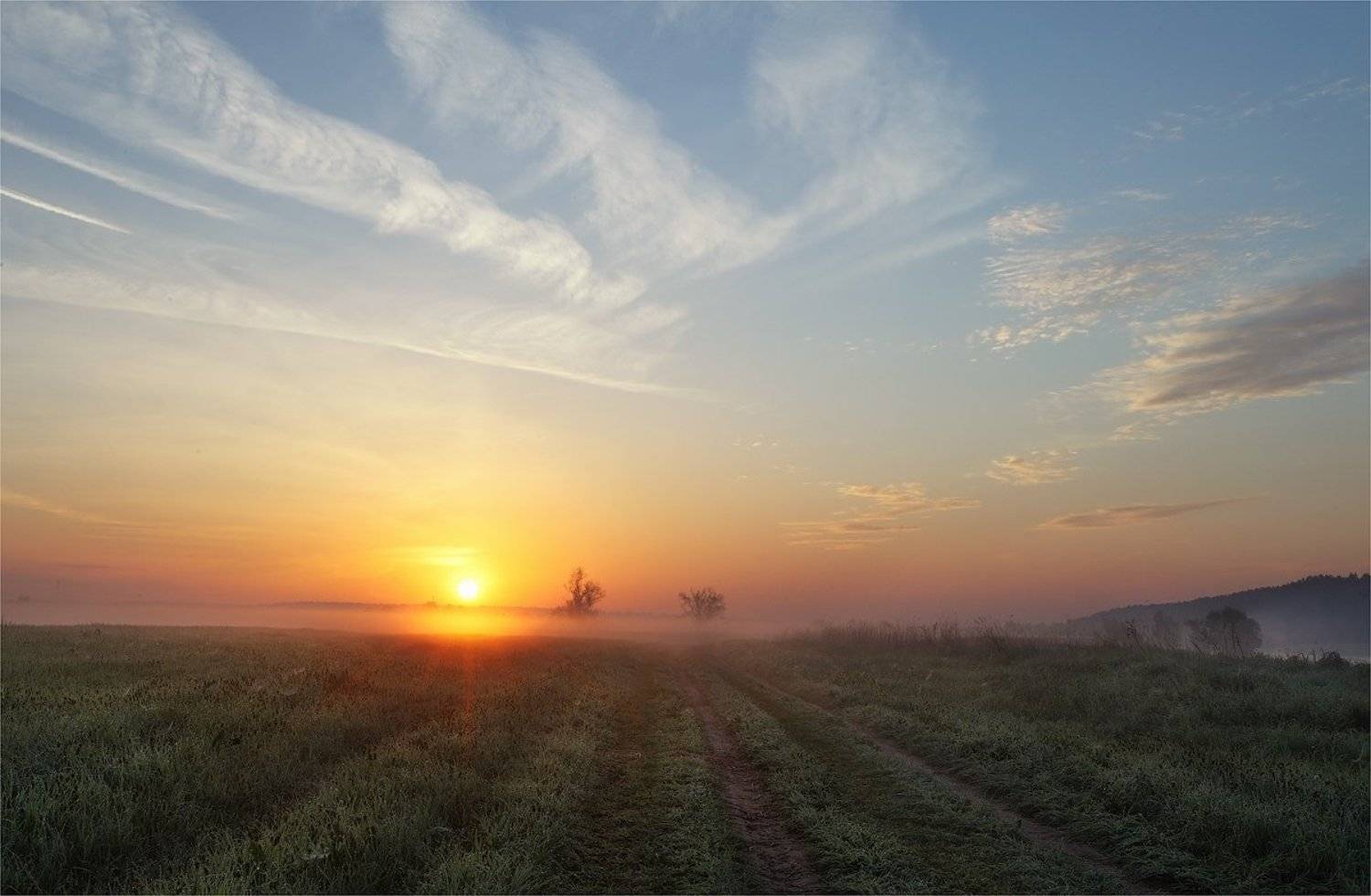 утро, туман, деревья, май, Сергей