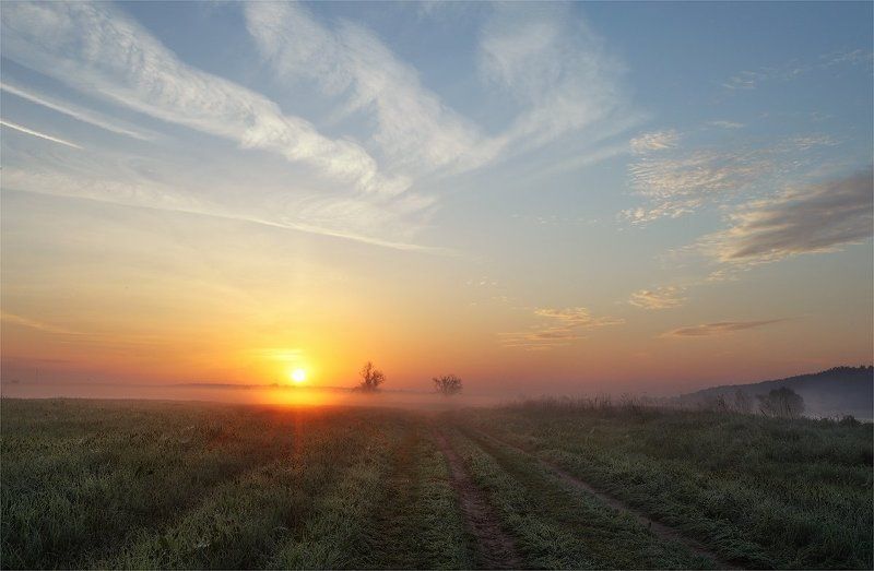 утро, туман, деревья, май Майское утро фото превью