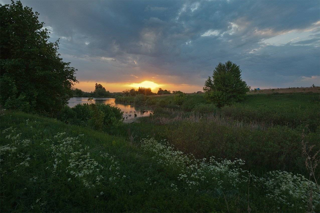 , Петр Антонович