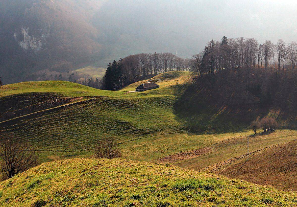 swiss, Матвеев Николай