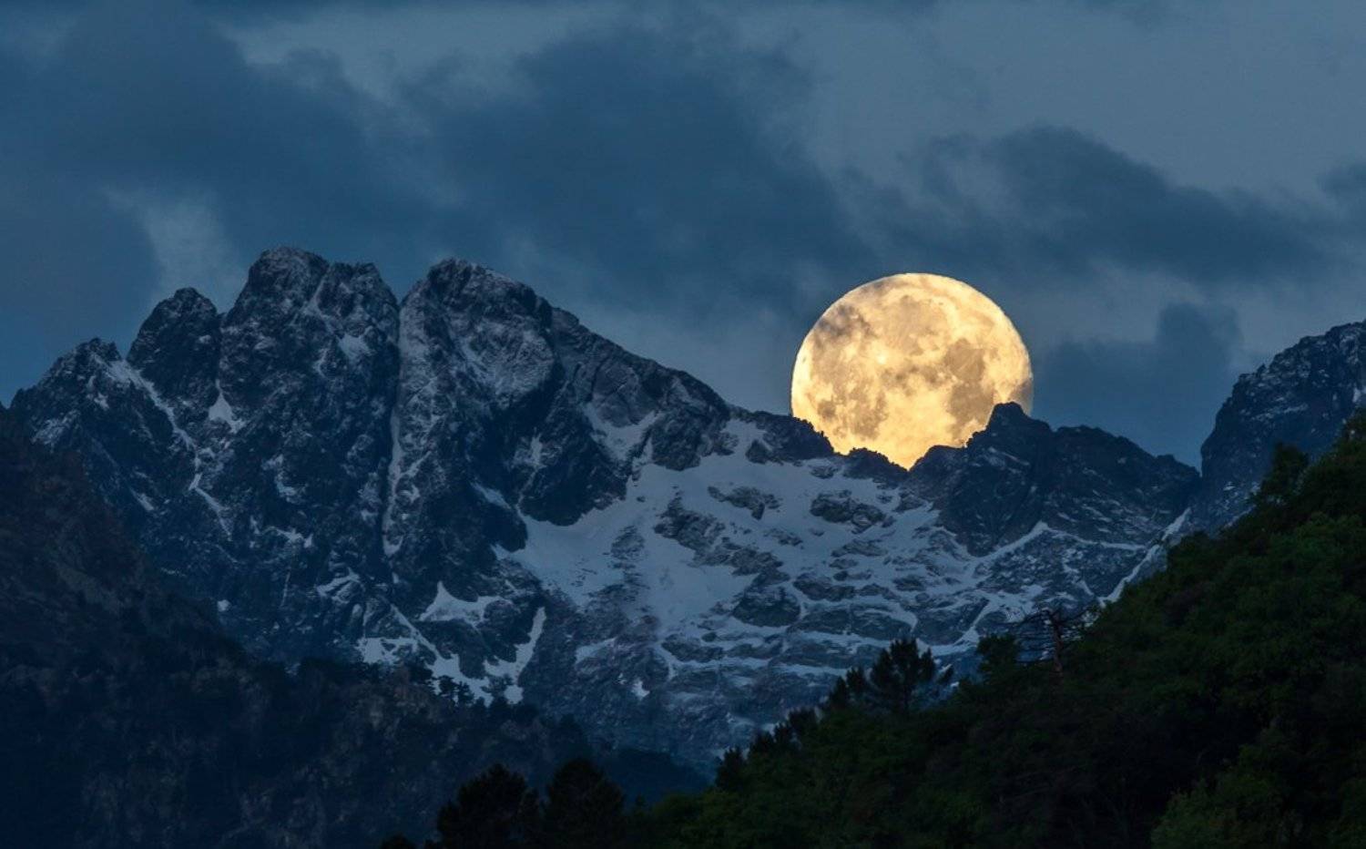 , Надежда Звягина / New Zealand