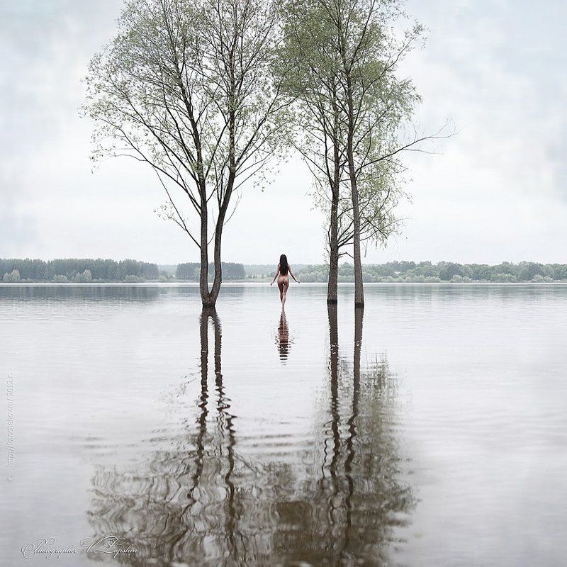 **** фото превью