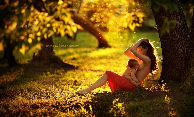 молоко и мёд фото превью