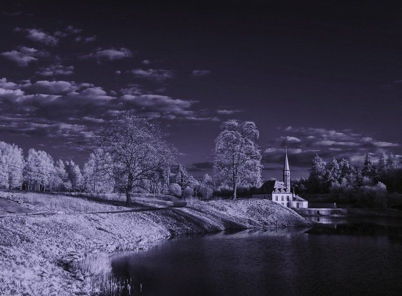 ~72~ фото превью