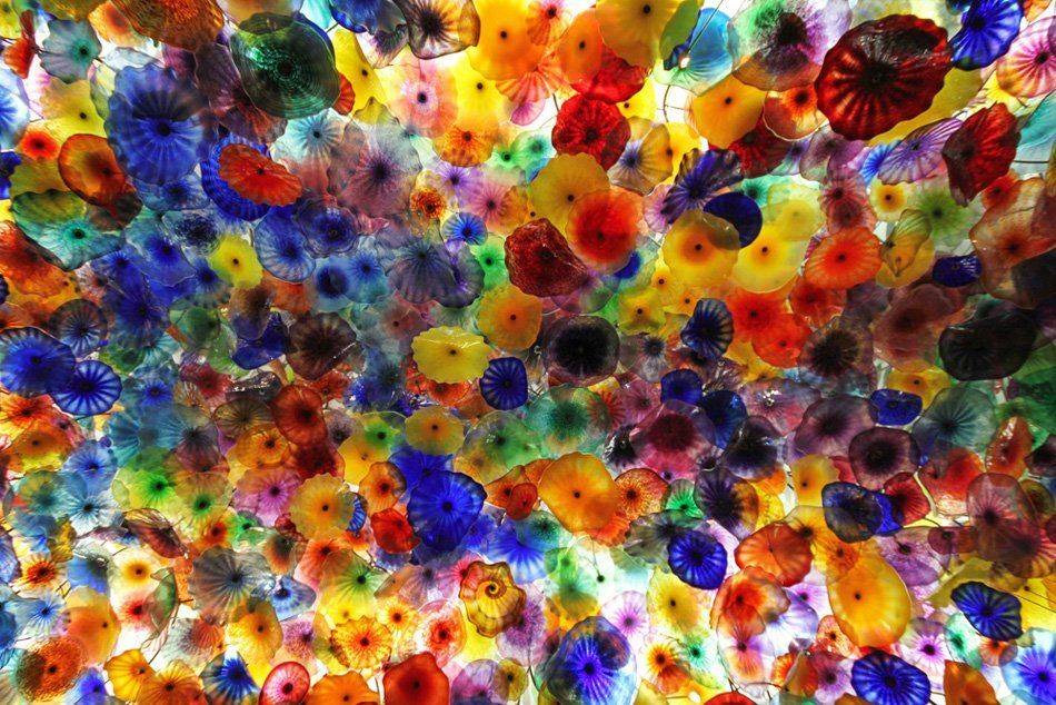 , Дара Пилюгина