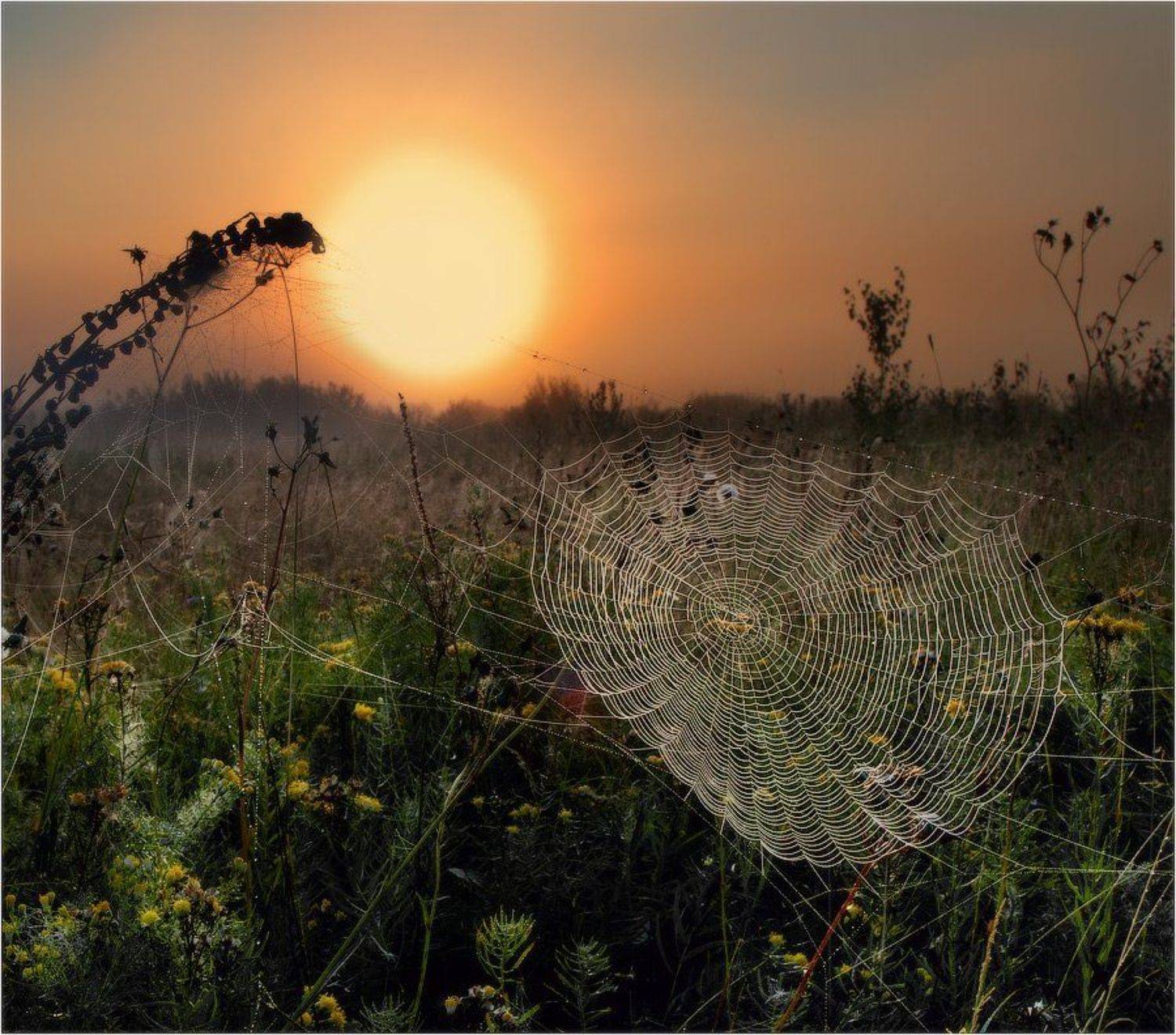 , Евгений Мартов