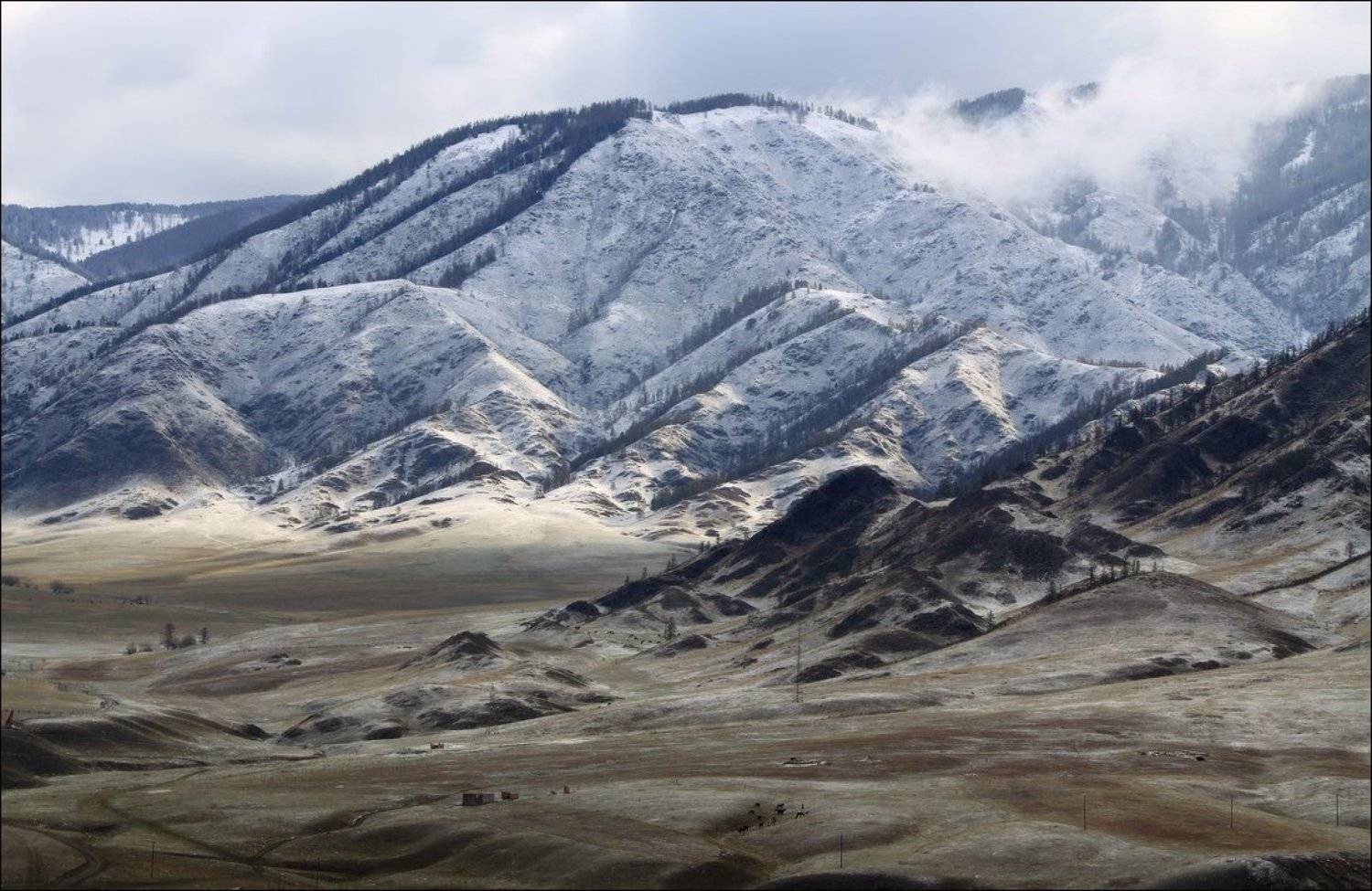 , Галина Хвостенко