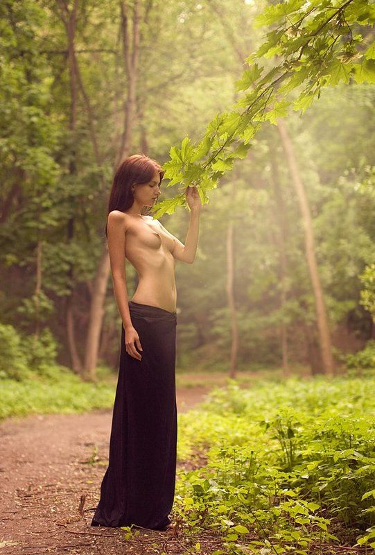 дыхание леса...photo preview