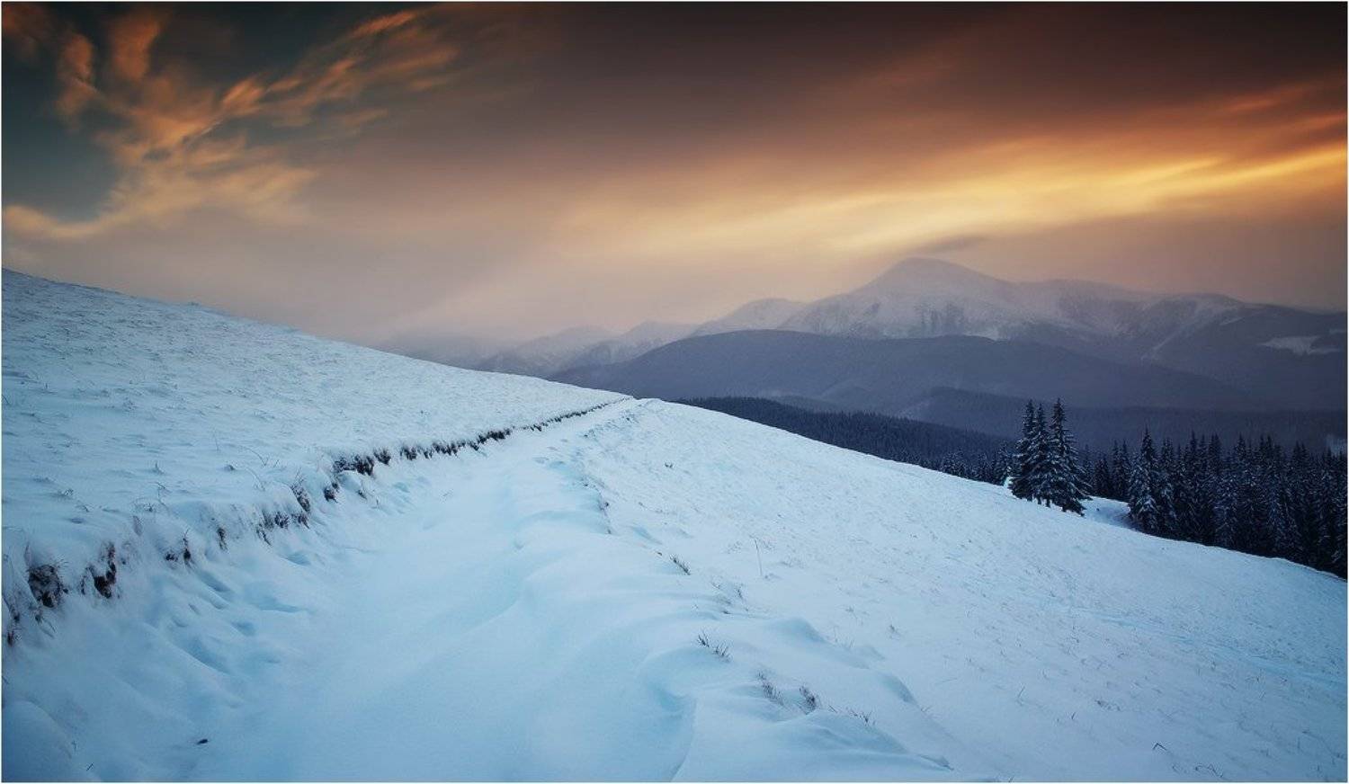 , Денис Кривой