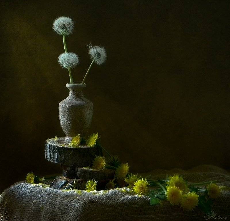 натюрморт, Nataliia(Metron)