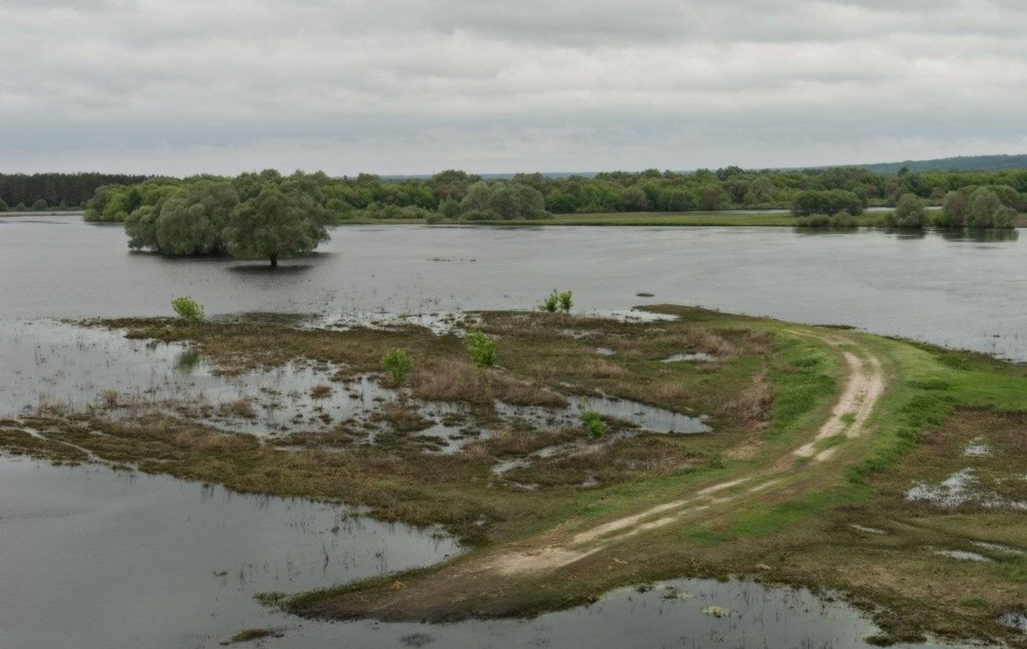 река, десна, разлив, дорога, Art Loo