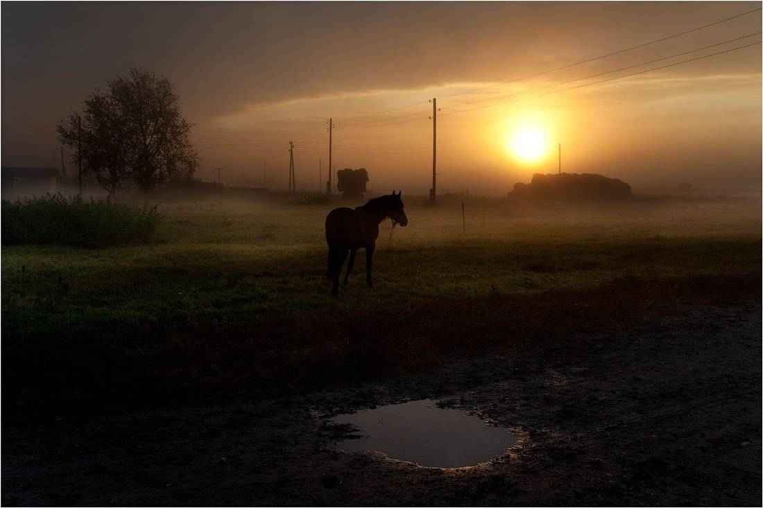 , Кутыгин Эдуард