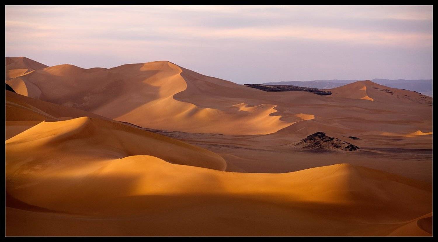 сахара ,  алжир,  дюны, Виктория Роготнева