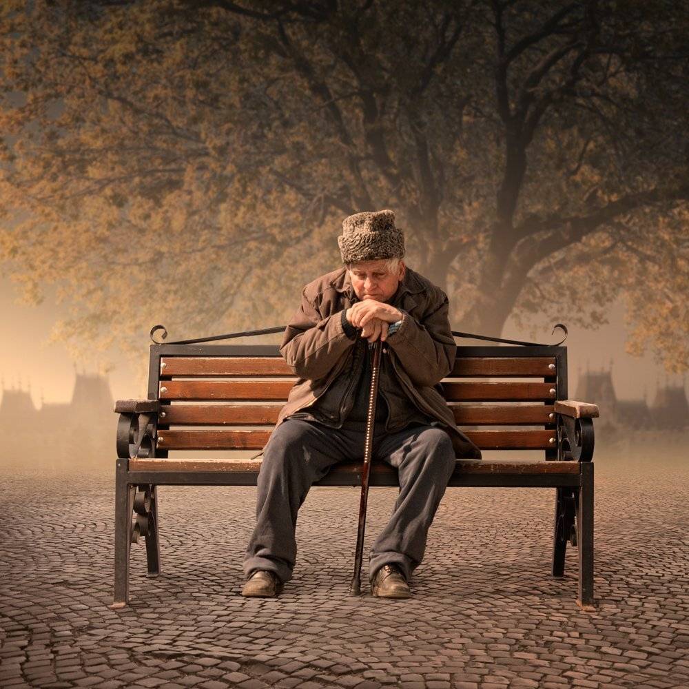 sky, fog, old, tree, building, leaf, bench, man, alone, walking, mystery,, Caras Ionut