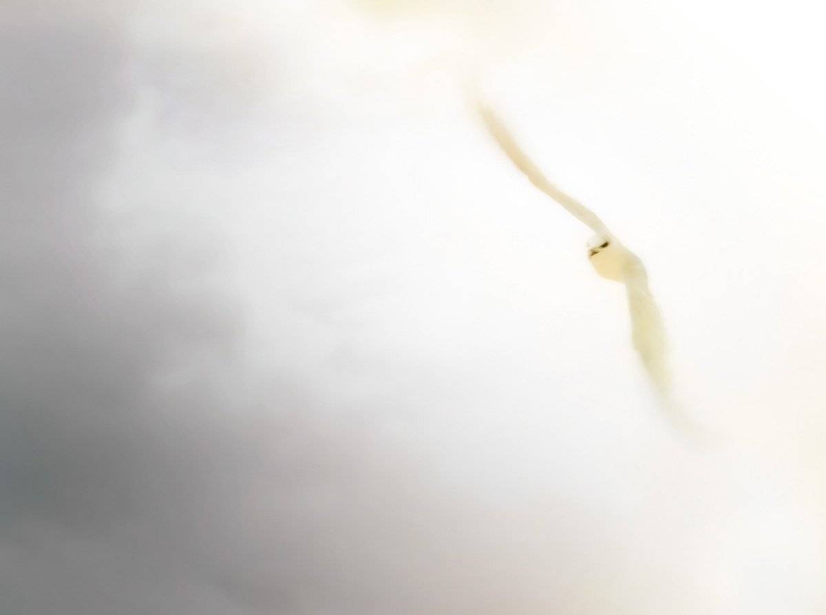 , Якимов Андрей