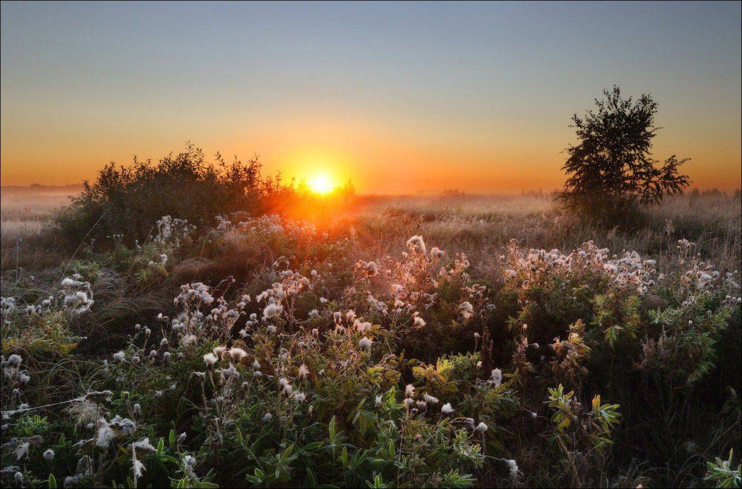 , Евгений Мартов