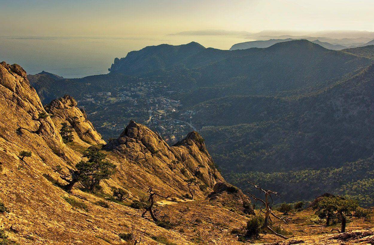 , Игорь Мелекесцев