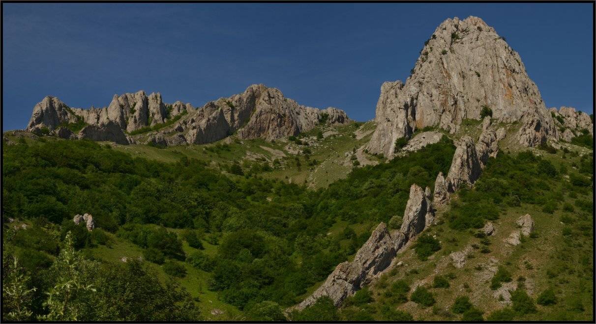 , Владимир Метцгер