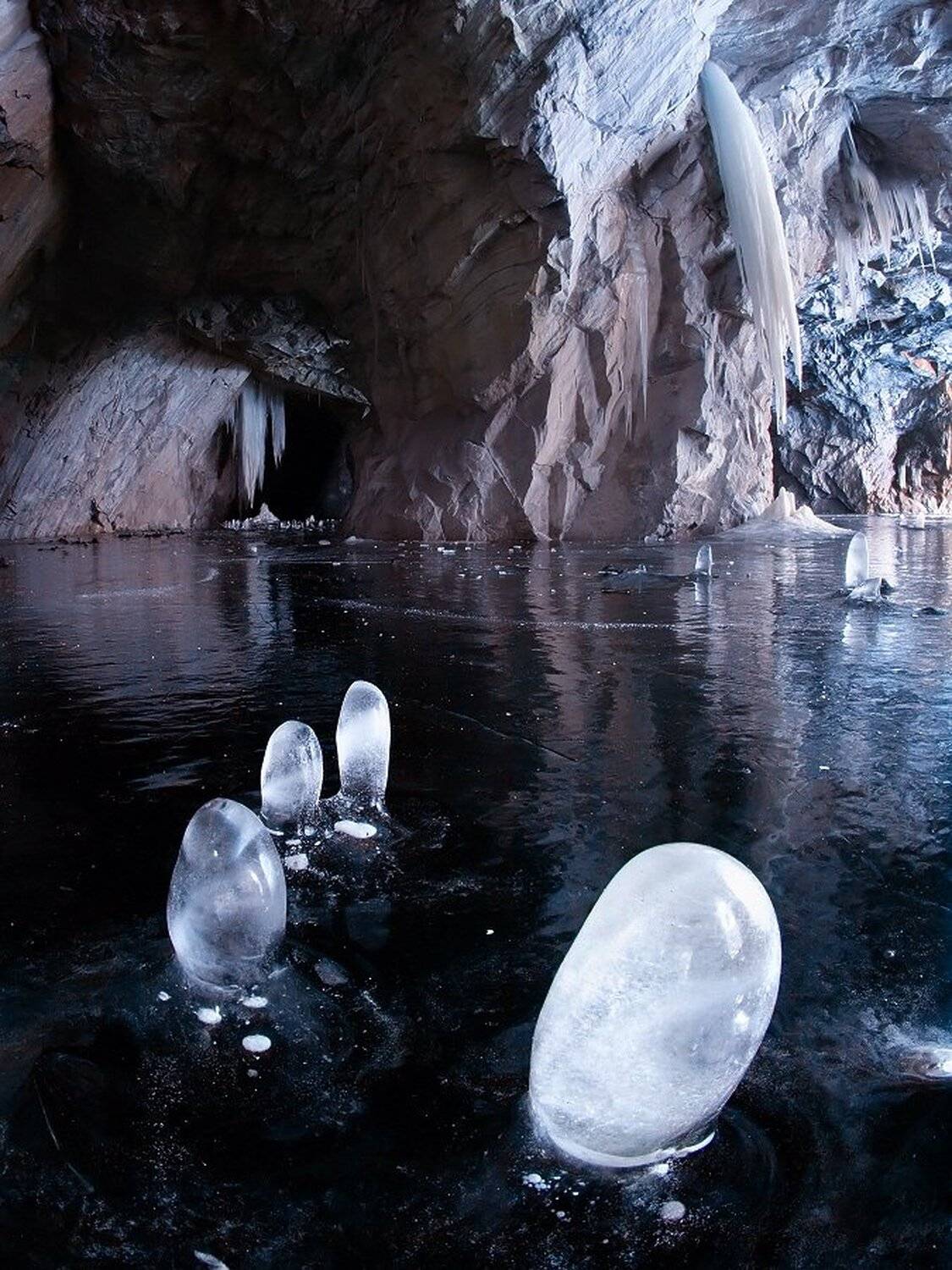 , Максим Евдокимов