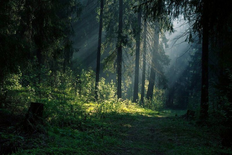 *** фото превью