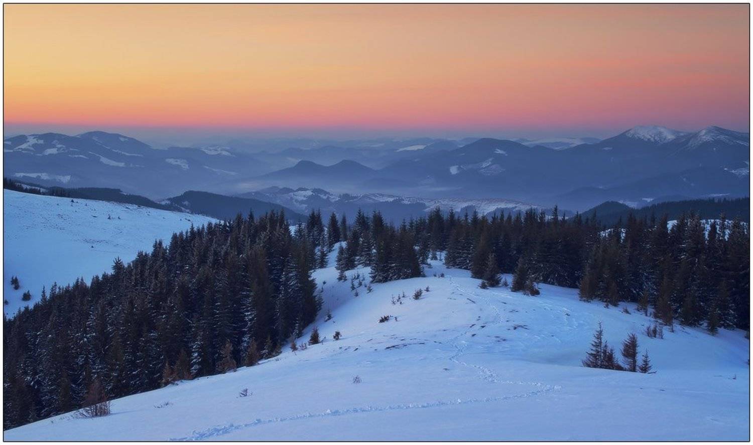 , Денис Кривой