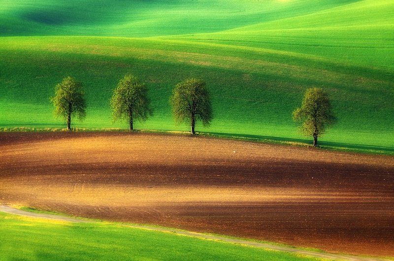 Four фото превью