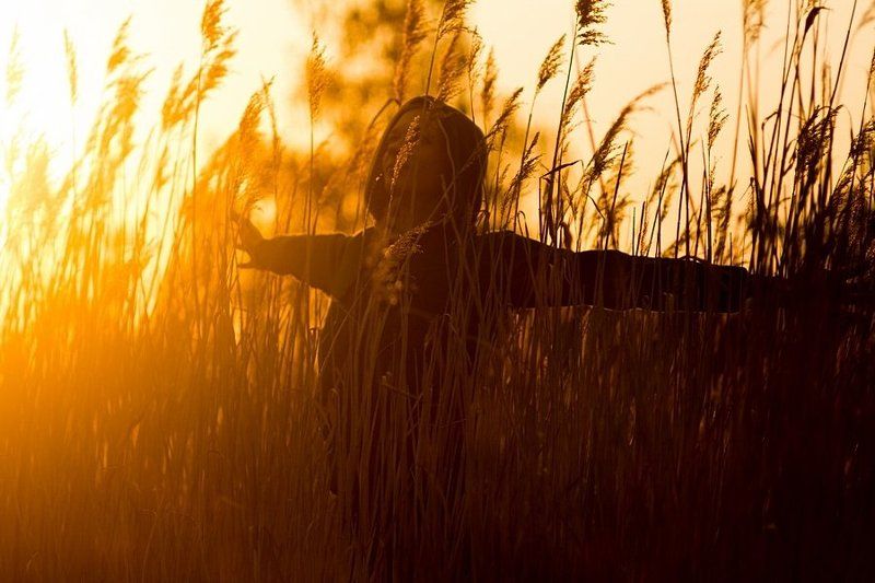 На закате фото превью