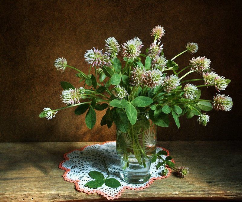 С клевером фото превью