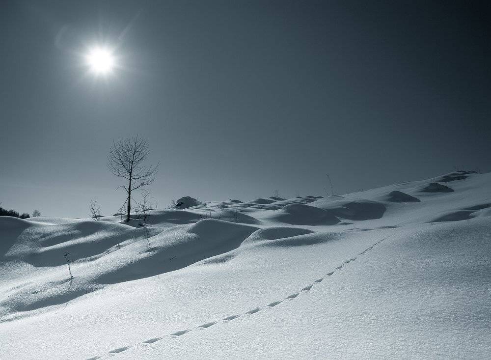 , Николай Морский