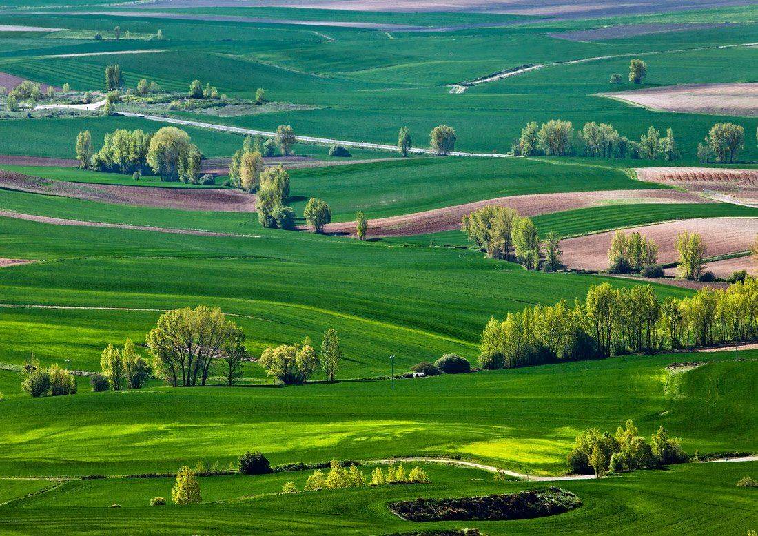 , Людмила Прокофьева