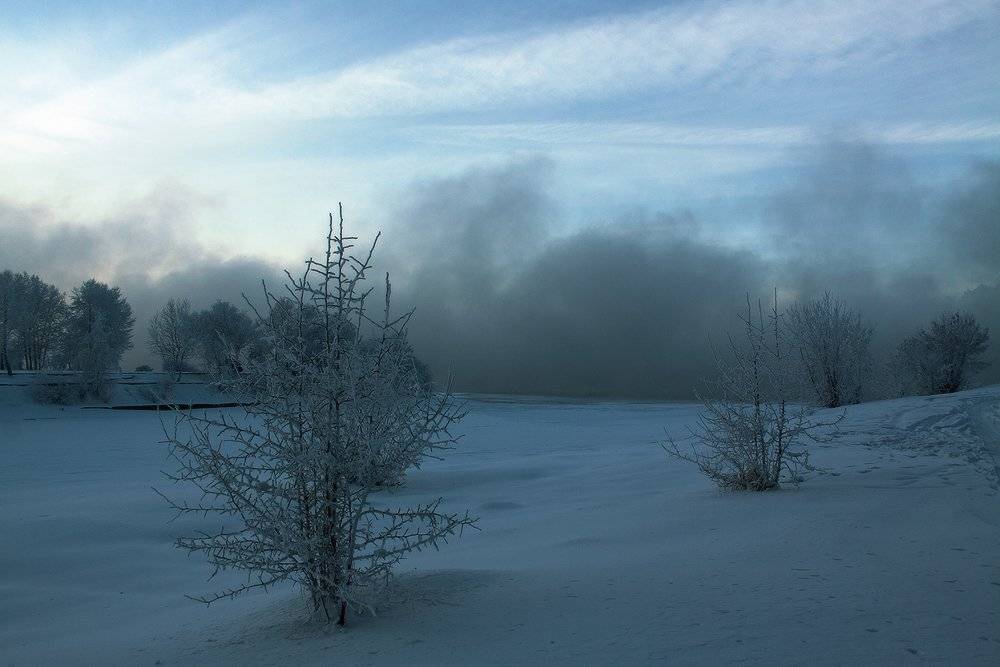 , Николай Морский