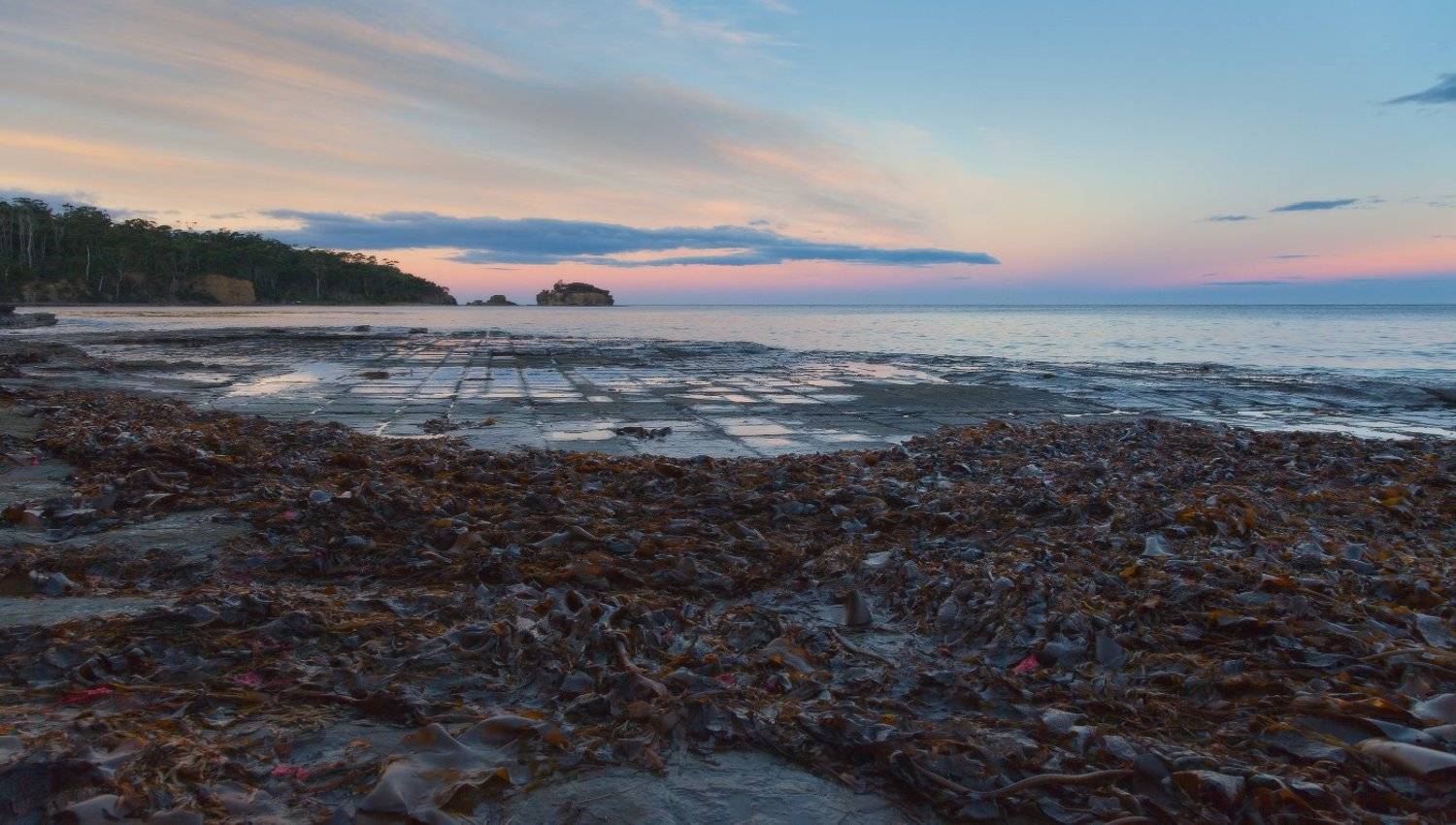 tasmania, tessellated pavement, Inesa Hill