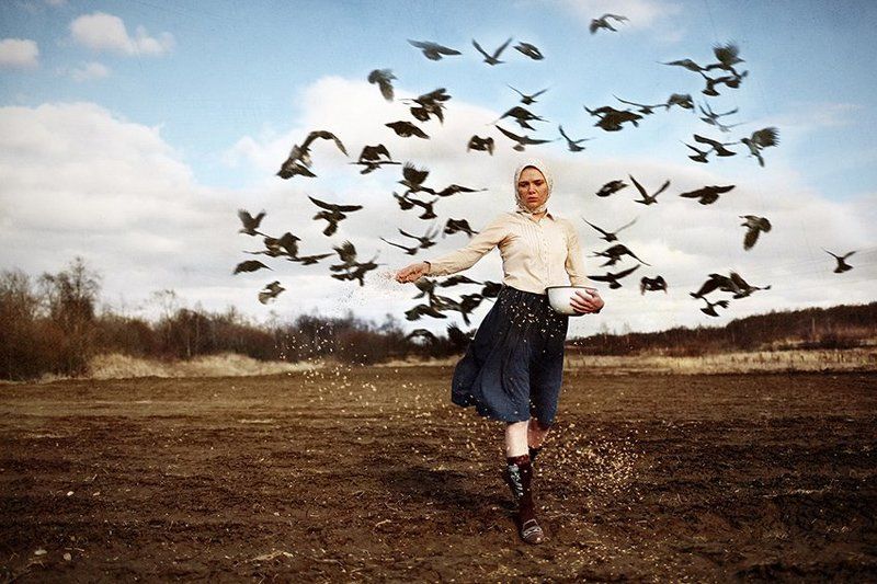 Голодная пашня фото превью