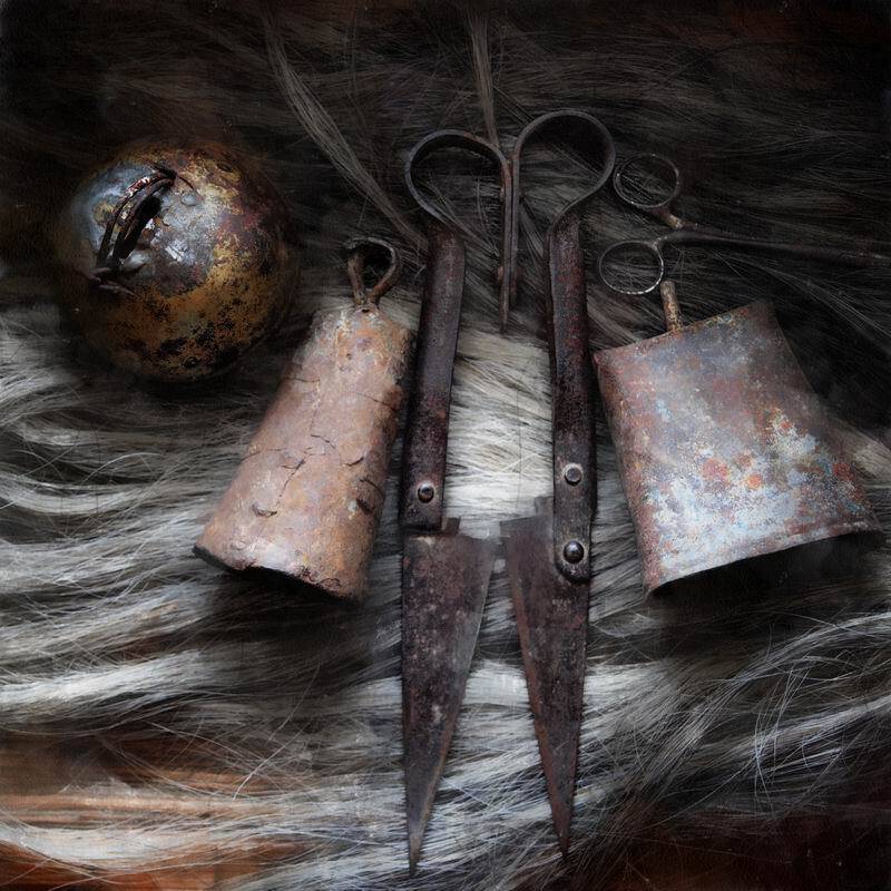 натюрморт, музыка, николай дмитрук