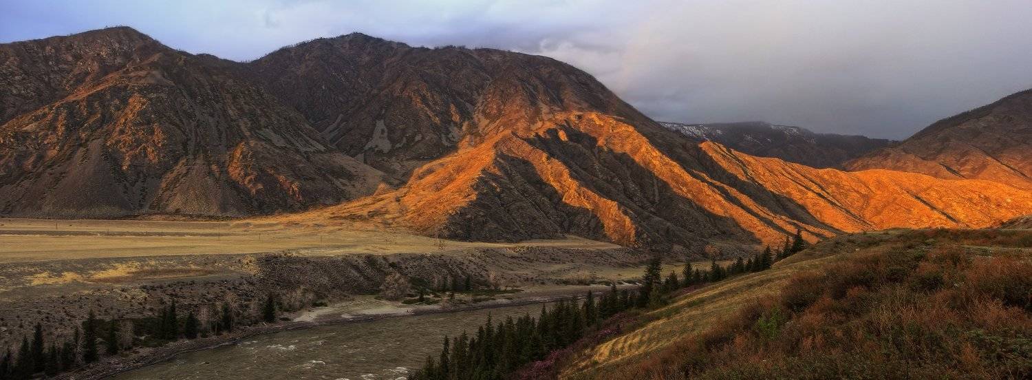 , Галина Хвостенко