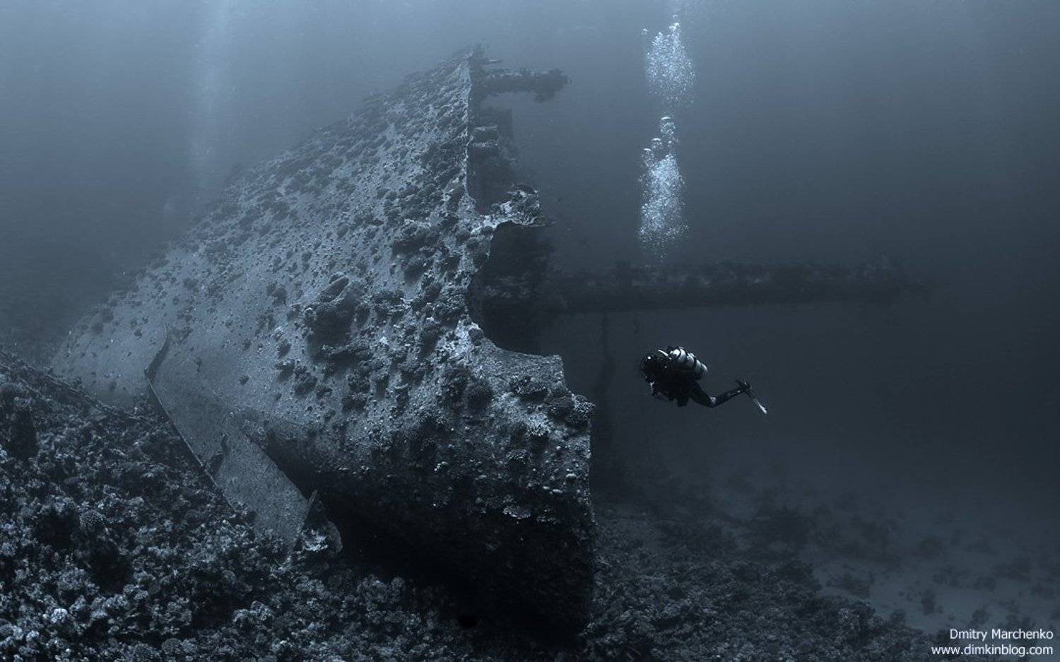 giannis d,ghiannis d, abu nuhas, wreck, Дмитрий