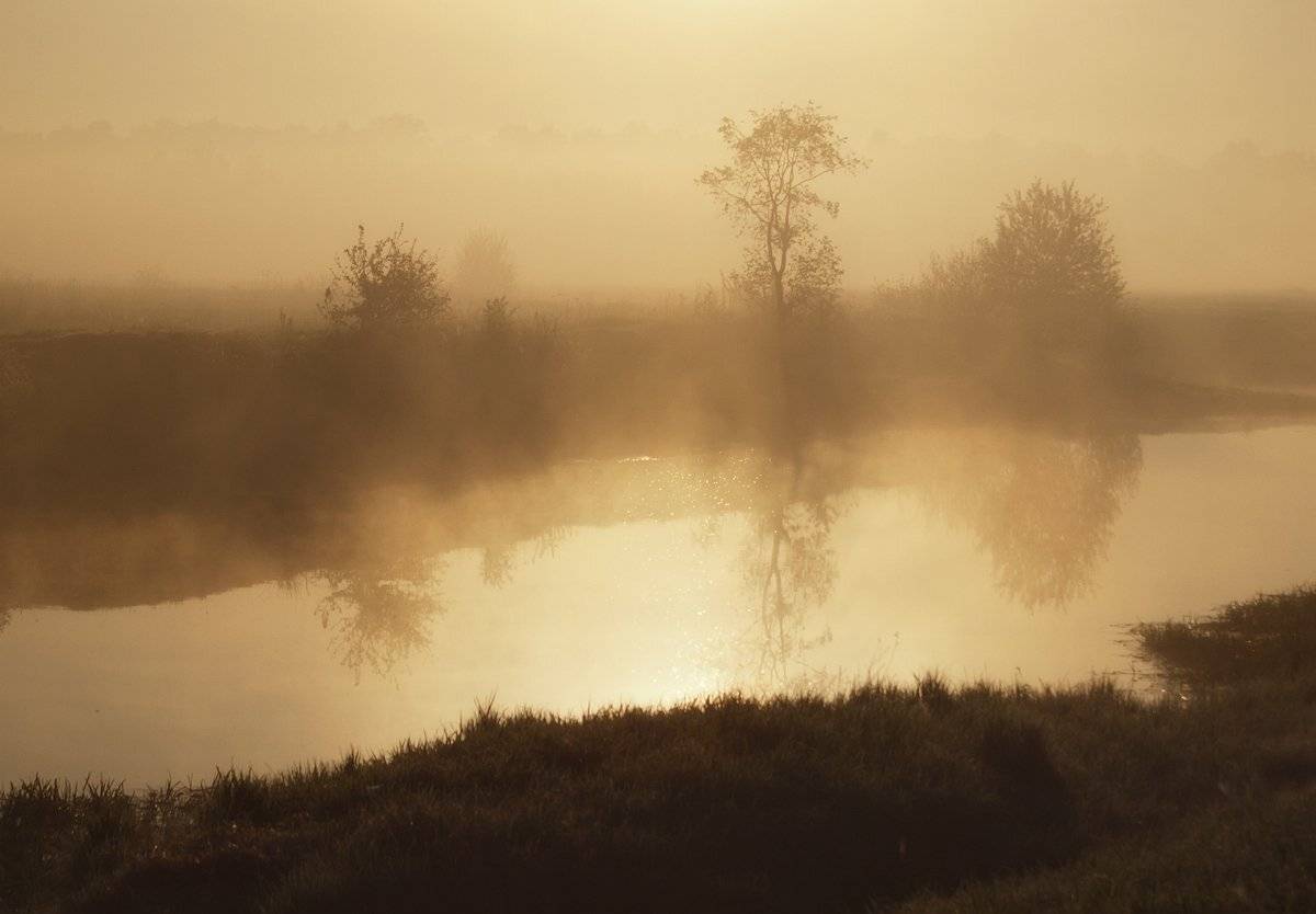 , Владимир Перепечаев