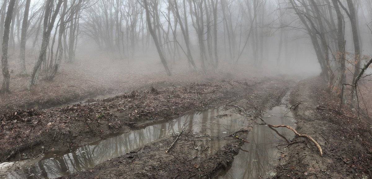 крым, весна, туман, Михаил Псарёв