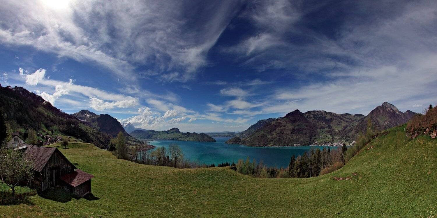 swiss, Матвеев Николай