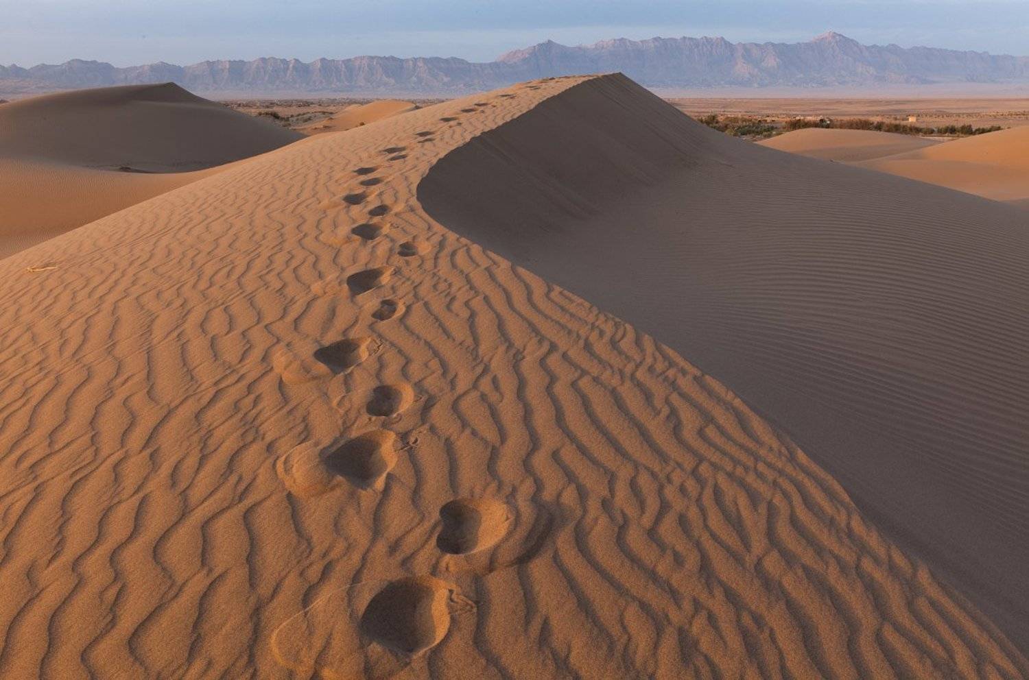 , Надежда Звягина / New Zealand