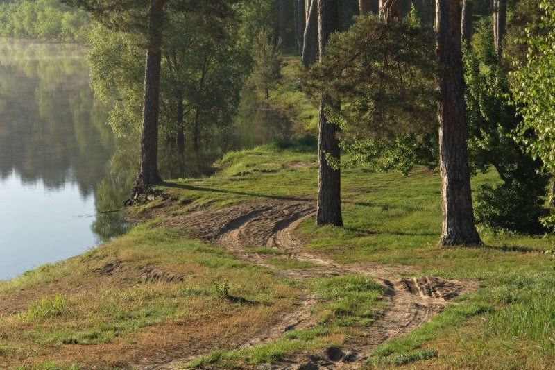 утро, десна, река, туман, рассвет Летним утром на Десне фото превью