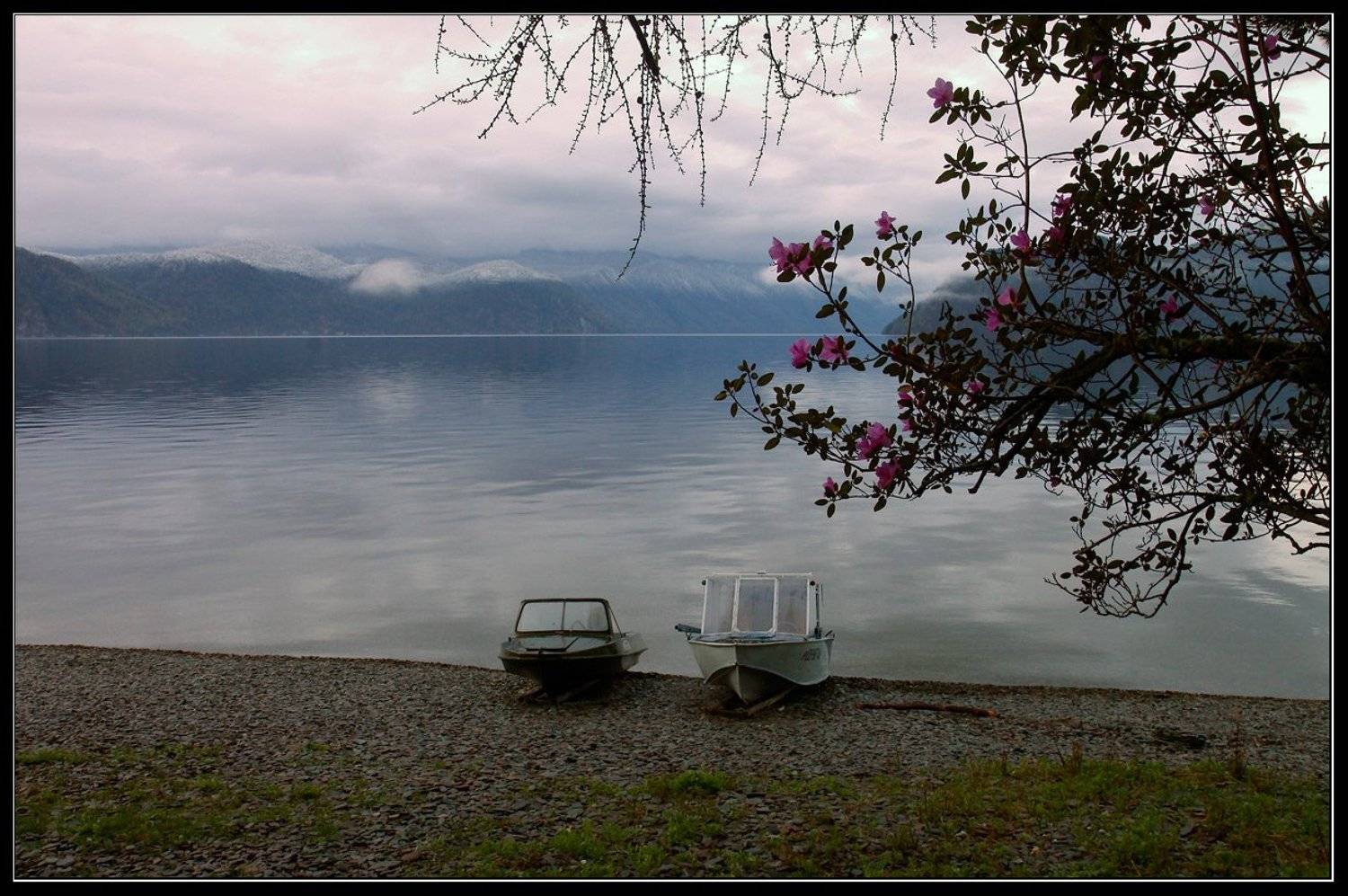 алтай, телецкое, озеро, Юрий Фролов