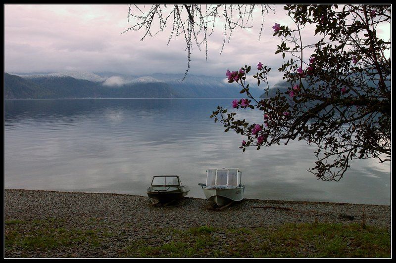 алтай, телецкое, озеро Утро раннее... фото превью