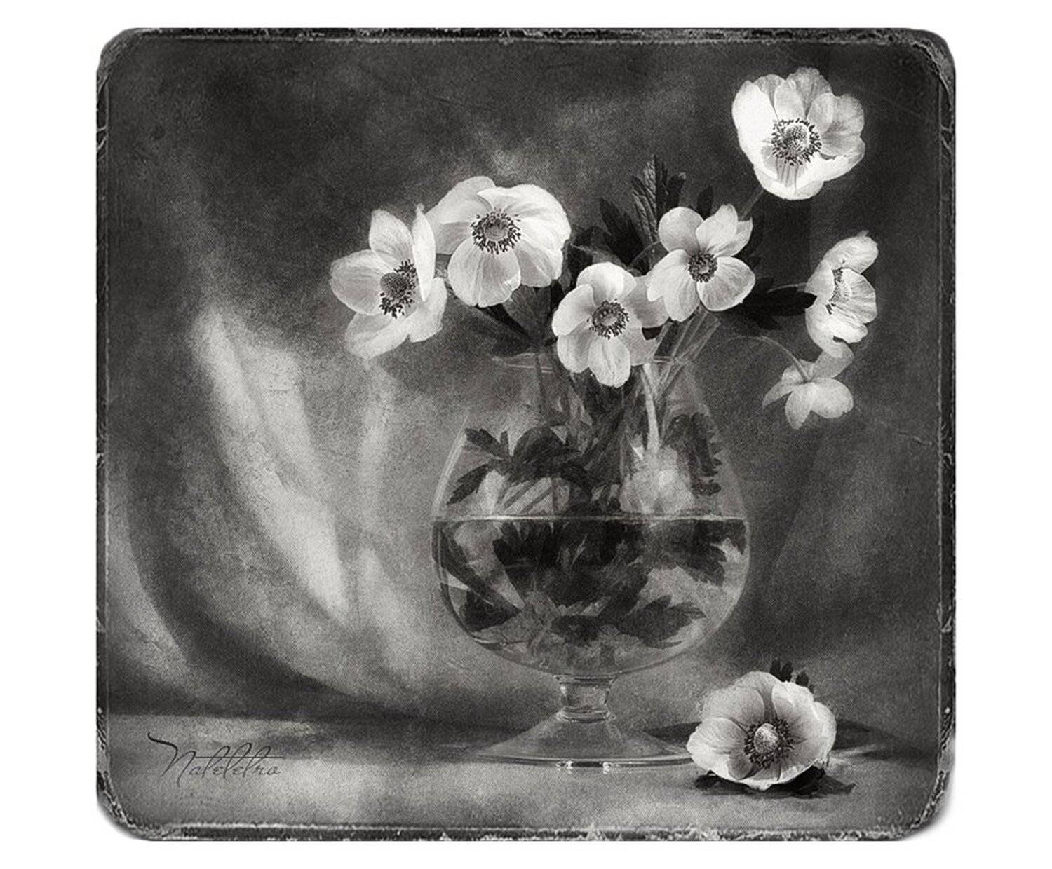 натюрморт, цветы, анемоны, Наталья Кузнецова (Nateletro)